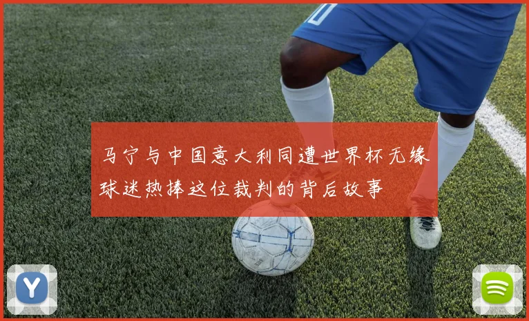 马宁与中国意大利同遭世界杯无缘球迷热捧这位裁判的背后故事